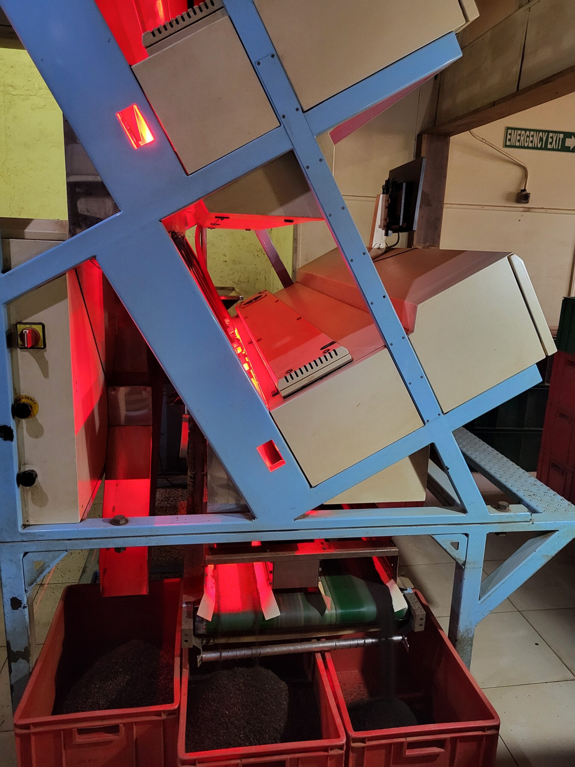 Tea firing and drying lines