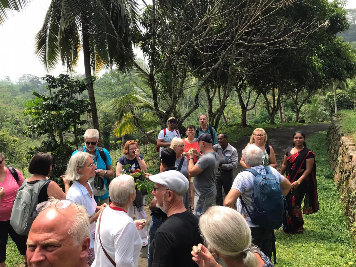 Estate Tour Tsara Tea