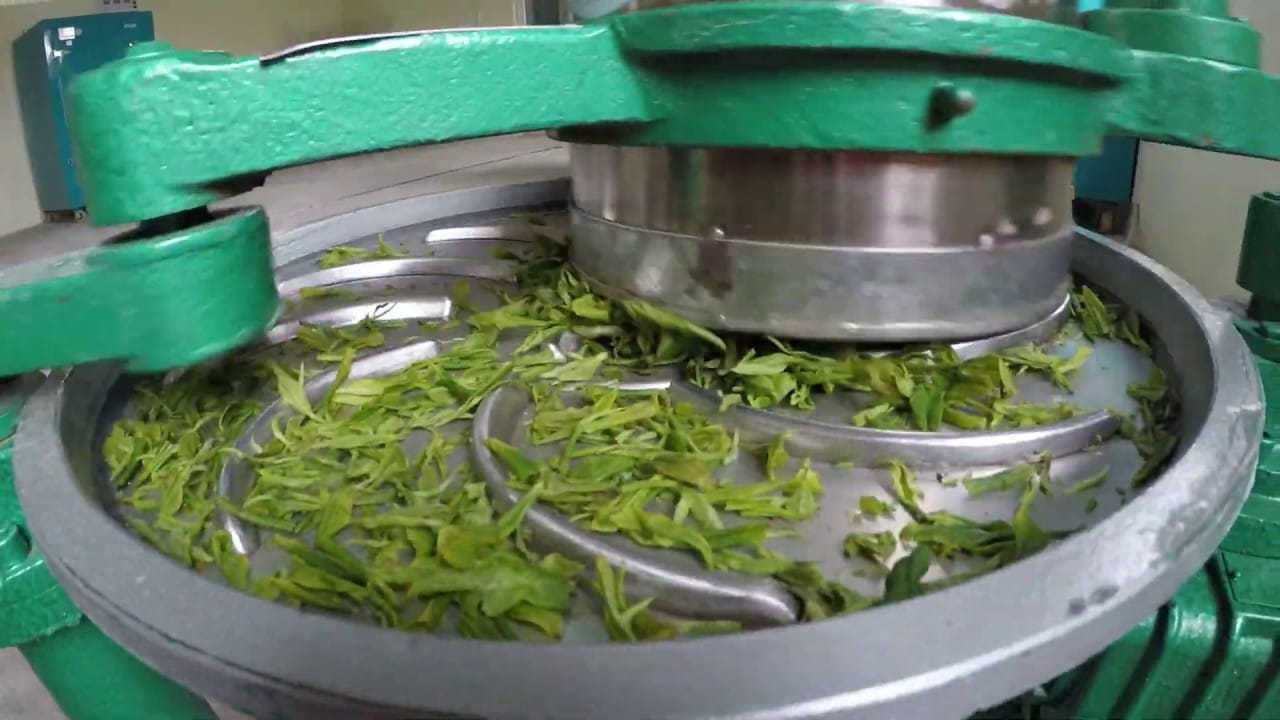 Tea processing at the factory