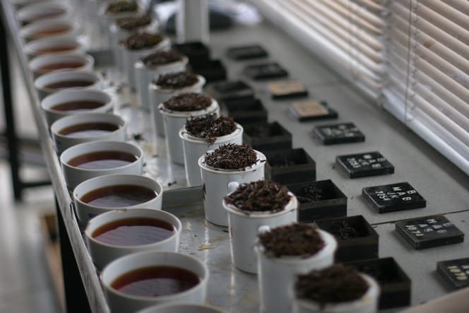 Assortment of Tsara teas